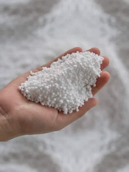 WhatsApp Image 2024 03 07 at 19.25.23 2f125ad5