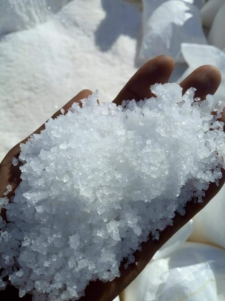 WhatsApp Image 2024 05 01 at 12.00.04 1bdcac7a