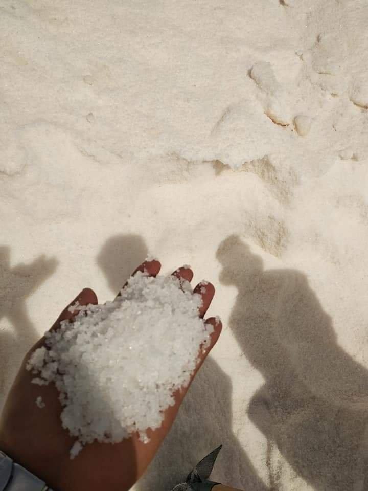 WhatsApp Image 2024 05 01 at 12.00.04 51af2c8a