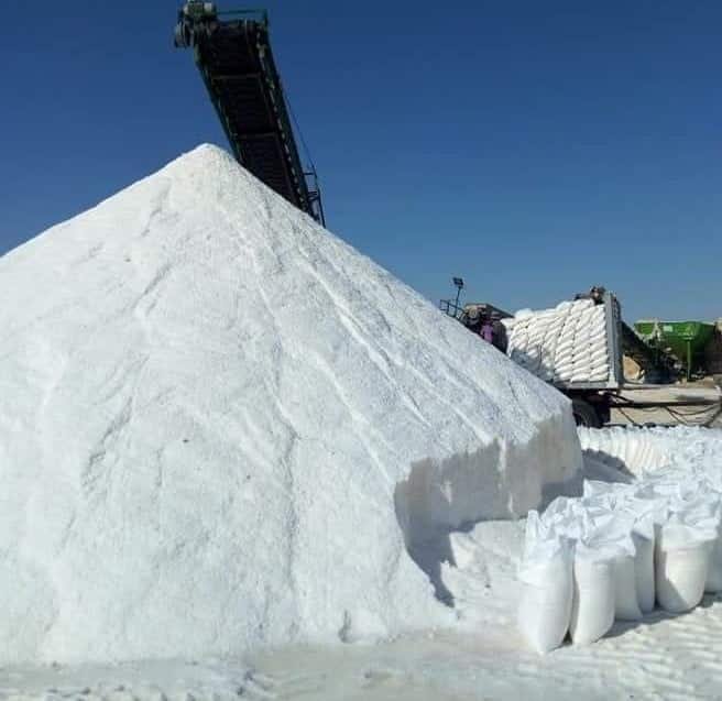 WhatsApp Image 2024 05 01 at 12.00.04 695bb86f