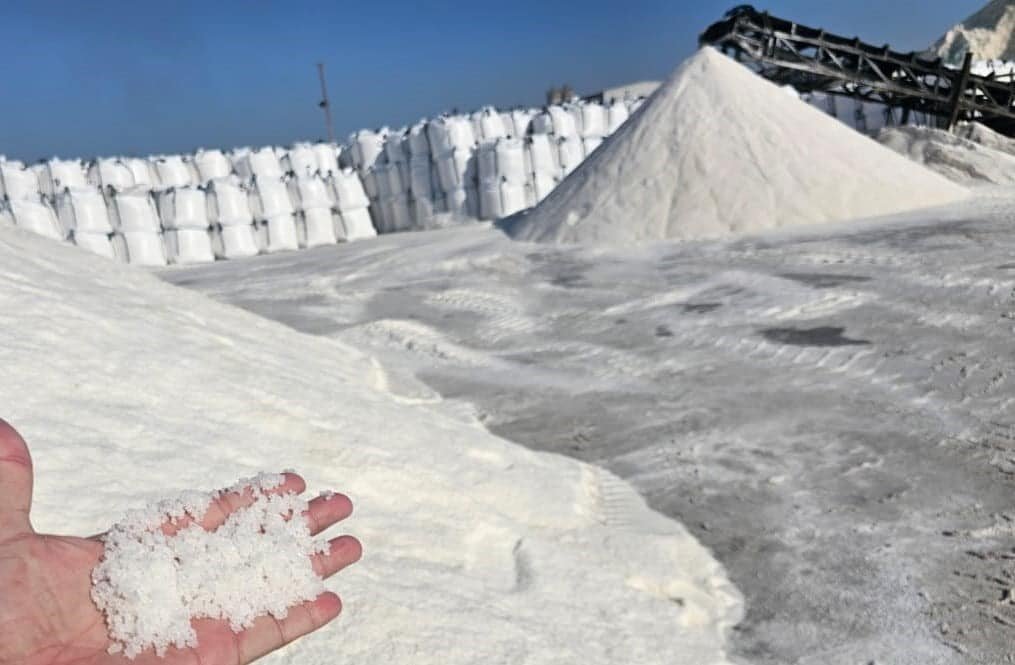 WhatsApp Image 2024 05 01 at 12.00.05 30166abe