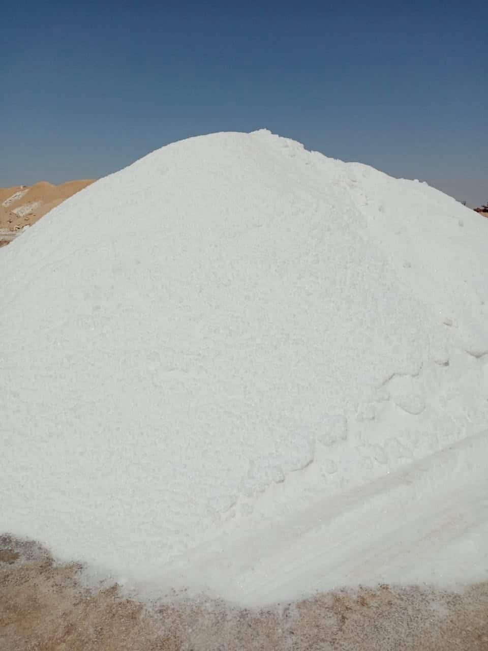 WhatsApp Image 2024 05 02 at 12.43.21 ff173232