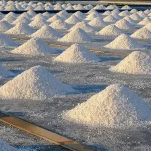 Französische Verordnung für Biosalz (Biosalz): Dies sind die offiziellen Kriterien