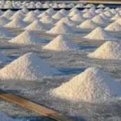 Franse regelgeving voor biologisch zout (biozout): dit zijn de officiële criteria