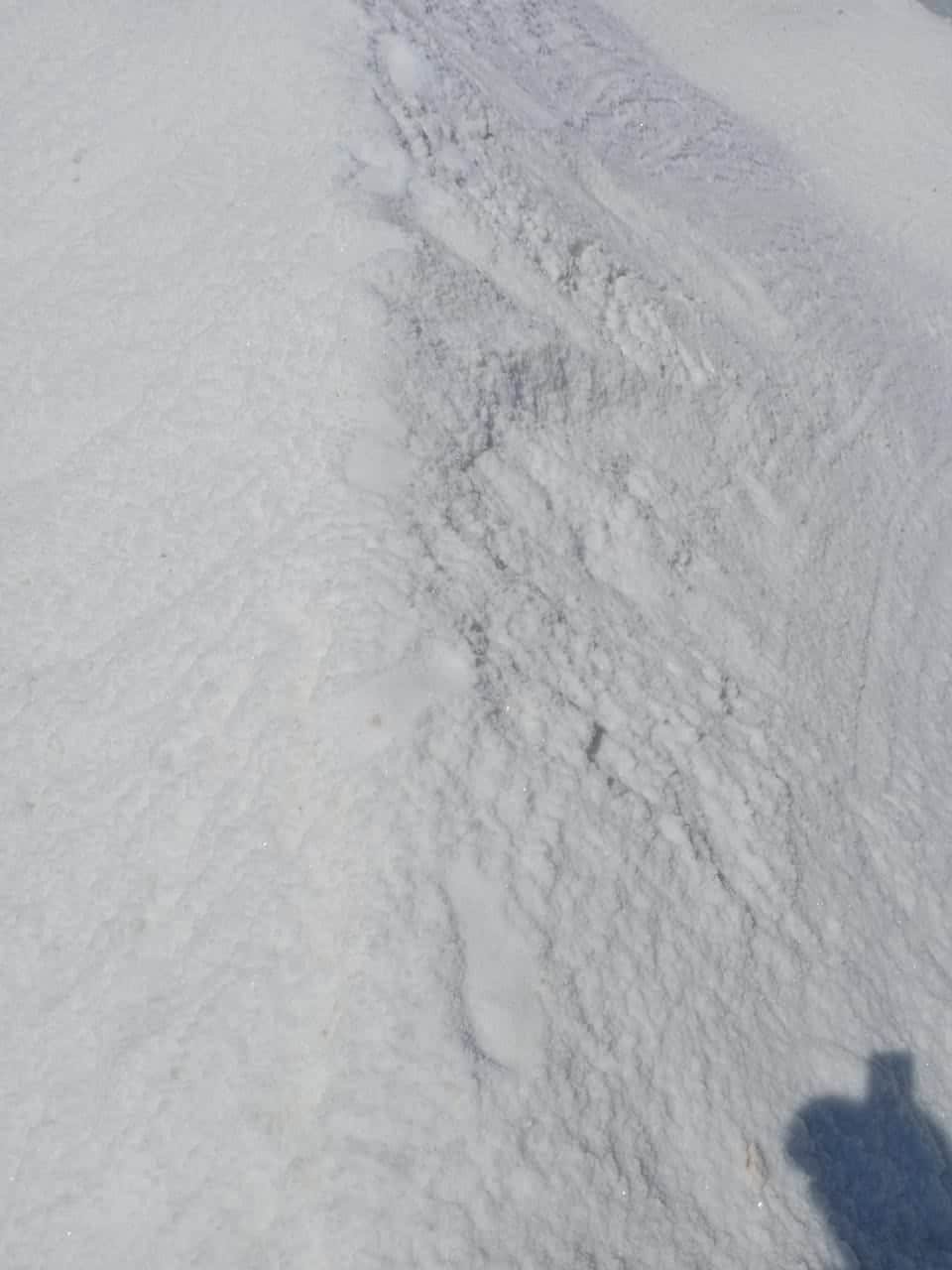 WhatsApp Image 2024 05 02 at 12.43.15 04087ada