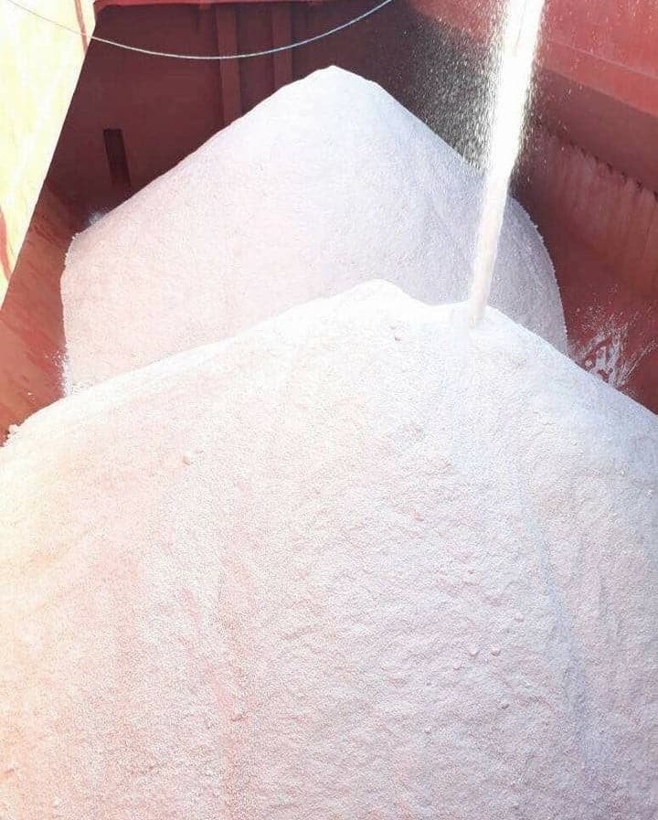 WhatsApp Image 2024 05 02 at 12.43.18 c4e4754f