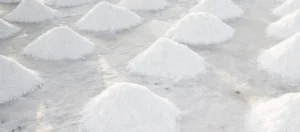 Fleur de sel: the gastronomic sea salt
