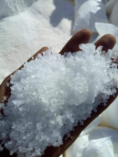 Raw Sea Salt for Sale Now - Pure, Natural, and Versatile