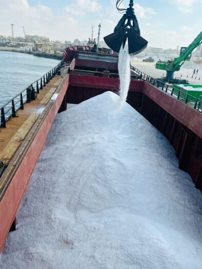 Bulk Salt for Sale – High-Quality Salt at Competitive Prices