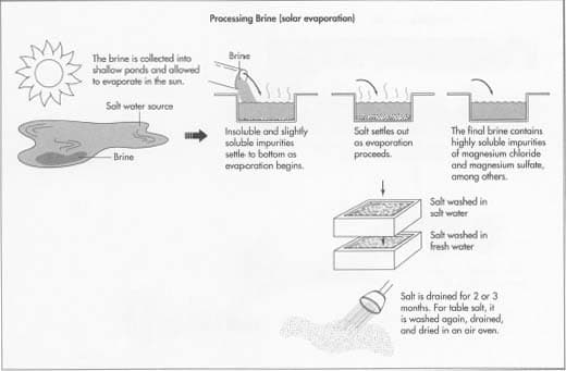 Why salt is an essential raw material in the production chain