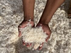 Siwa Rock Salt 101 Pharaoh’s Ancient Ally. Unveil winter safety’s natural champion