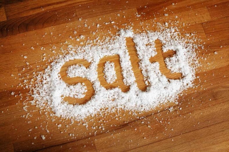 How Does Salt Preserve Food?
