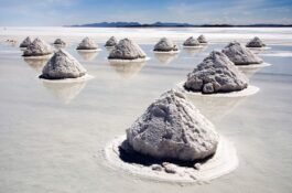 What Is Salt Made Of? The Science Behind This Everyday Mineral