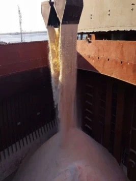 moses export