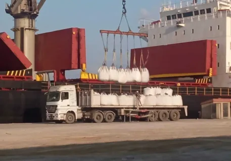 moses export