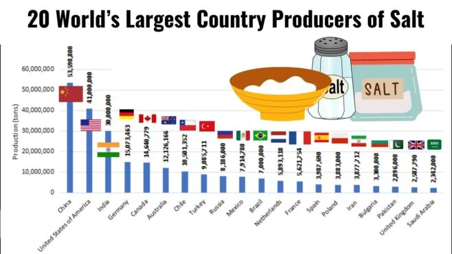 Salt Producers Around the World: A Complete Directory of Salt Companies by Country (2026)